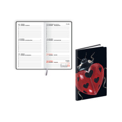 *Kabatas plānotājs Pocket Flex, laminēts, nedēļas atvērums, Dark