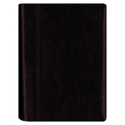 Plānotājs ar spirāli  Boss A5, mākslīga āda, dienas atvērums, tumši brūns