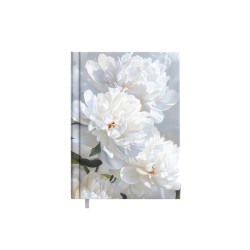 Plānotājs Tempo Diena, mākslīga āda, White Dream