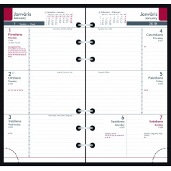 Вкладыш в ежедневник учителя Midi Timex