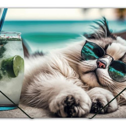 Mape ar gumiju CHILLOUT CAT, A4