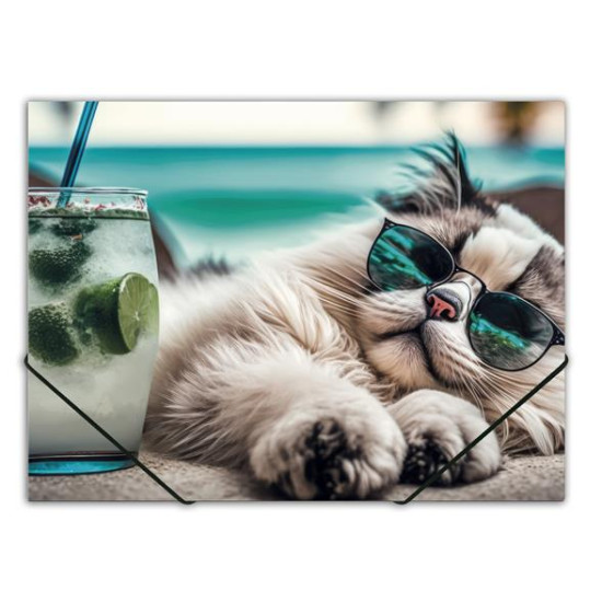 Mape ar gumiju CHILLOUT CAT, A4