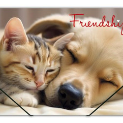 Mape ar gumiju  FRIENDSHIP, A4
