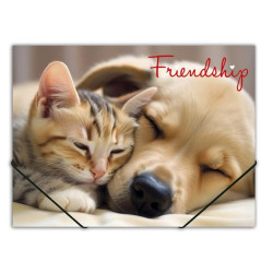 Mape ar gumiju  FRIENDSHIP, A4