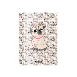 Цветные карандаши ErichKrause 55308, Multicolor, Устойчивые к поломкам грифели