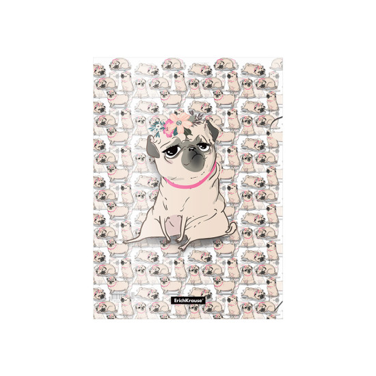 *Dok.mape-stūrītis A4 ErichKrause Chilling Dog