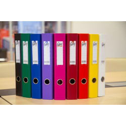 Mape-reģistrs College, A4, 5cm, PP+PP, dzeltens