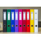 Mape-reģistrs College, A4, 5cm, PP+PP, bordo