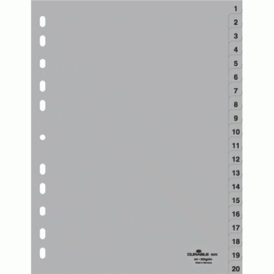 Sadalītāji DURABLE A4, 1-20