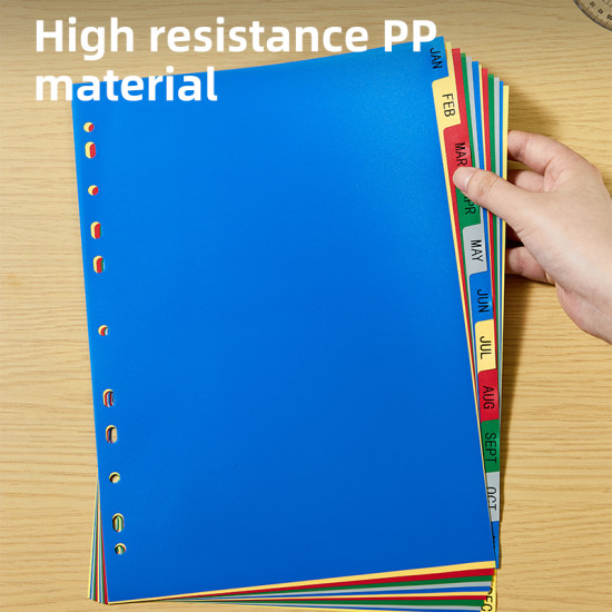 Vahelehed DELI A4 Jan-Dec, plastik värviline