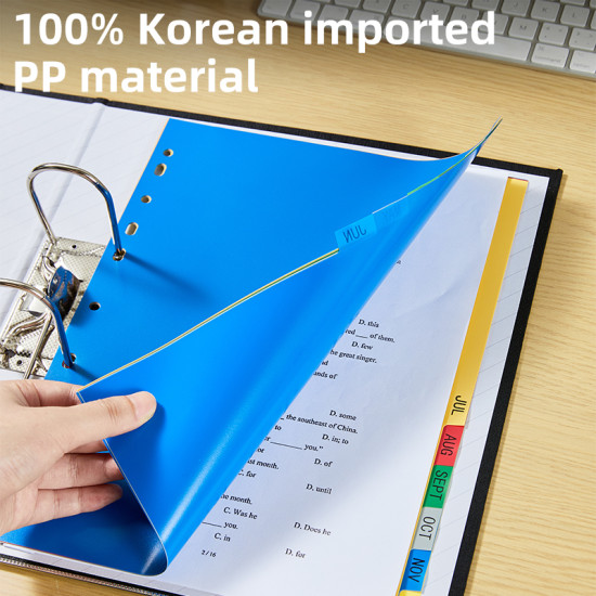 Vahelehed DELI A4 Jan-Dec, plastik värviline