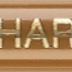 Карандаш Faber-Castell Pitt Уголь черный твердый без масла