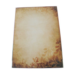 Картон Argo Amber A4 Premium 170г 25л