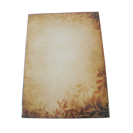 Картон Argo Amber A4 Premium 170г 25л