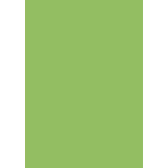 Картонные листы College "Premium", Grass Green, Исключительная Долговечность