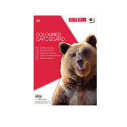 Картон College "Carton", Brown, Высокая Жесткость
