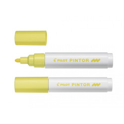 Маркеры Pilot Pintor Pastel 24цвета