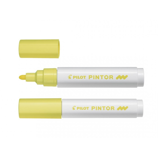 Маркеры Pilot Pintor Pastel 24цвета