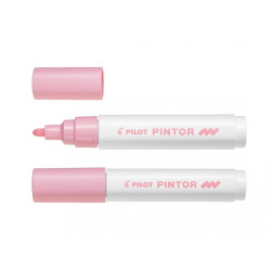 Маркеры Pilot Pintor Pastel 24 цвета